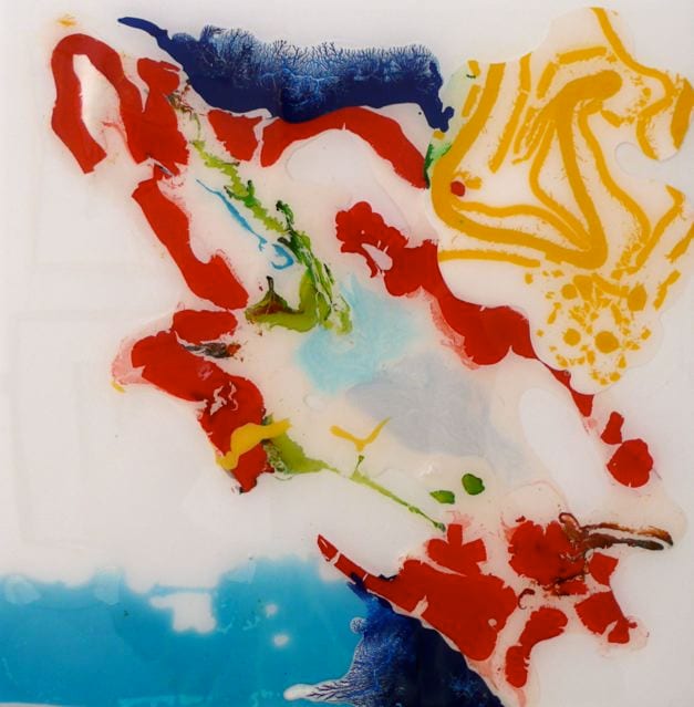 PRIMARY ASSEMBLAGE
