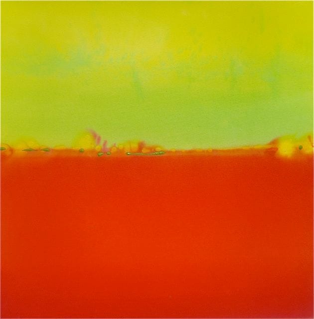 COLOR FIELD STUDIES