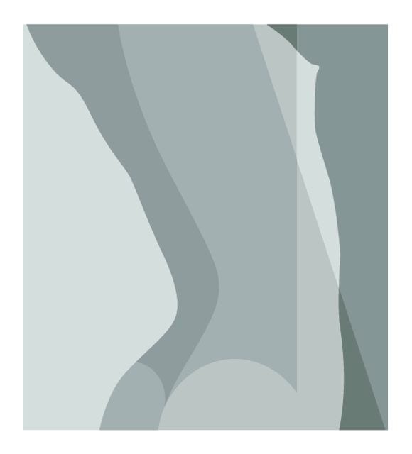 TORSO #2