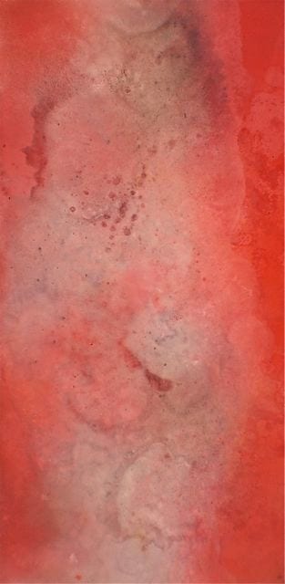 TOPOGRAPHICAL QUAD PANEL (RED)