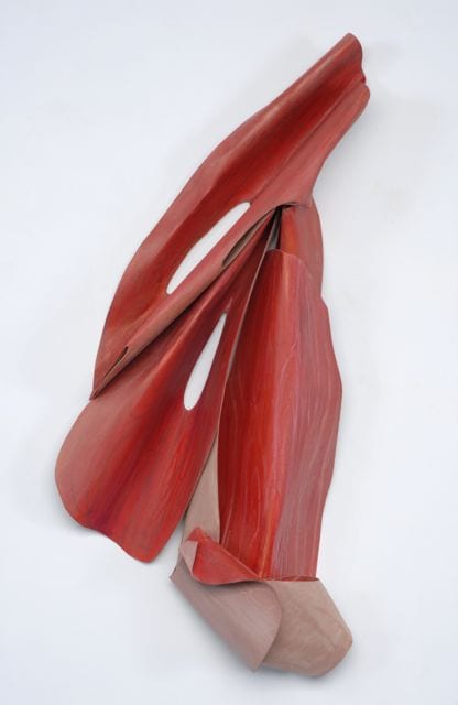 EXPRESSIVE RED