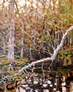 SWAMP REFLECTIONS