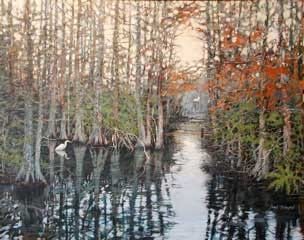 CYPRESS SWAMP IN WINTER