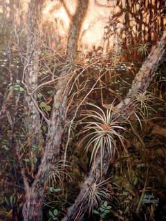 SWAMP COLOR