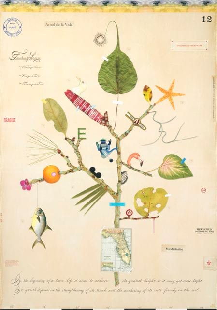 FLORIDA TREE OF LIFE