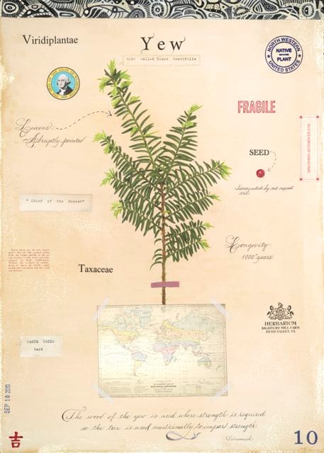 TAXUS WITH MAP