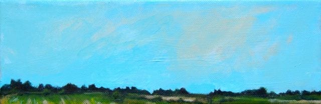BOTTOMLAND & WHEAT FIELD