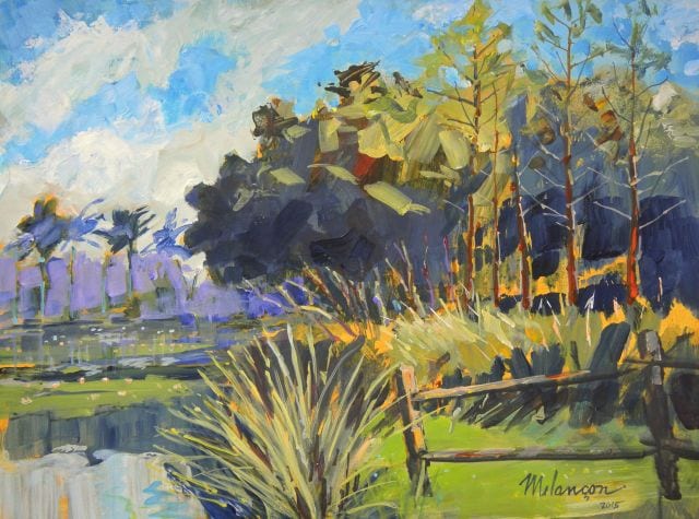 PAYNE POND