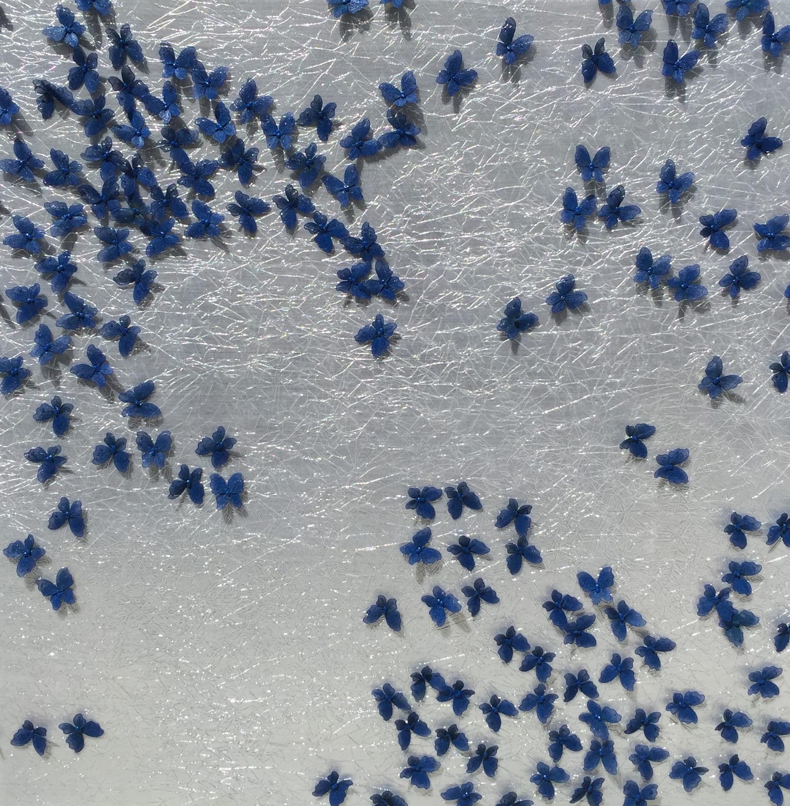 BLUE'S FAMILY REUNION