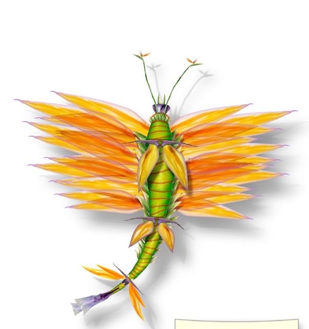 BUTTERFLY 35