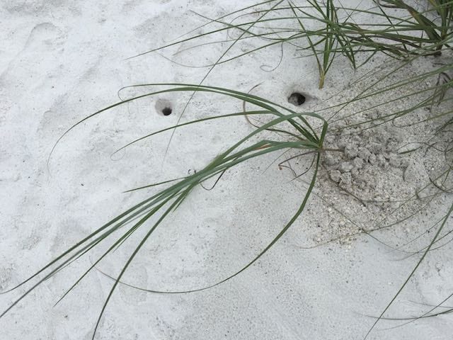 CLOUDS, SAND & WATER SERIES 3