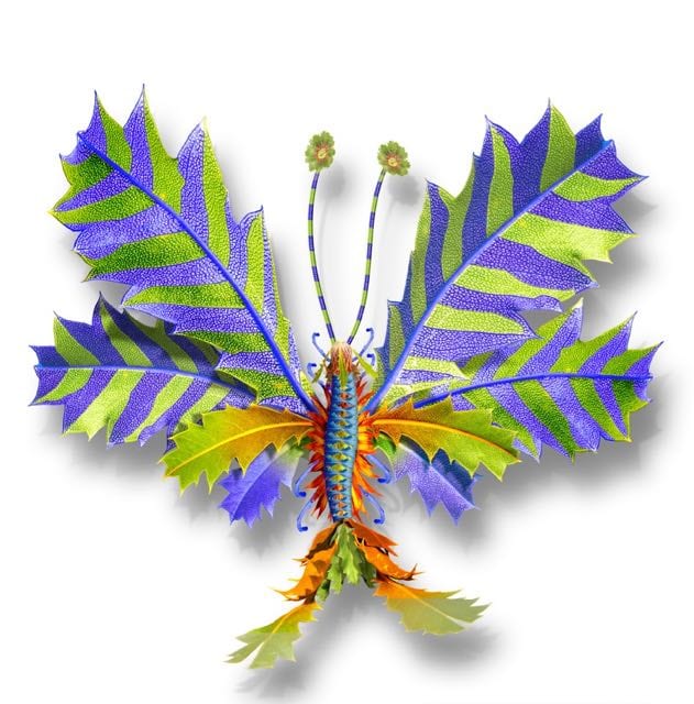 BUTTERFLY 15 ON CANVAS