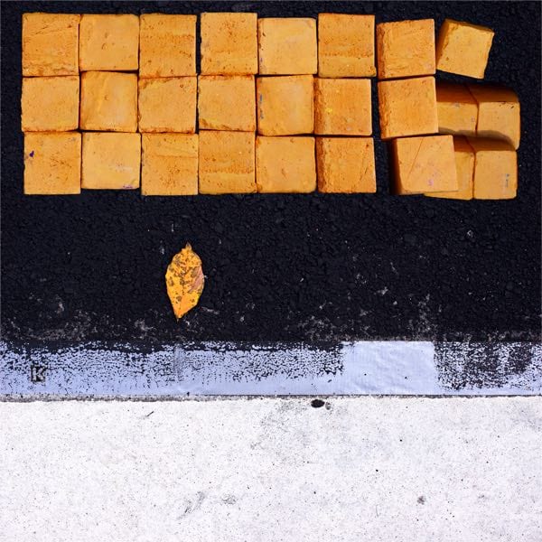 DAY 4: FALL & WINTER