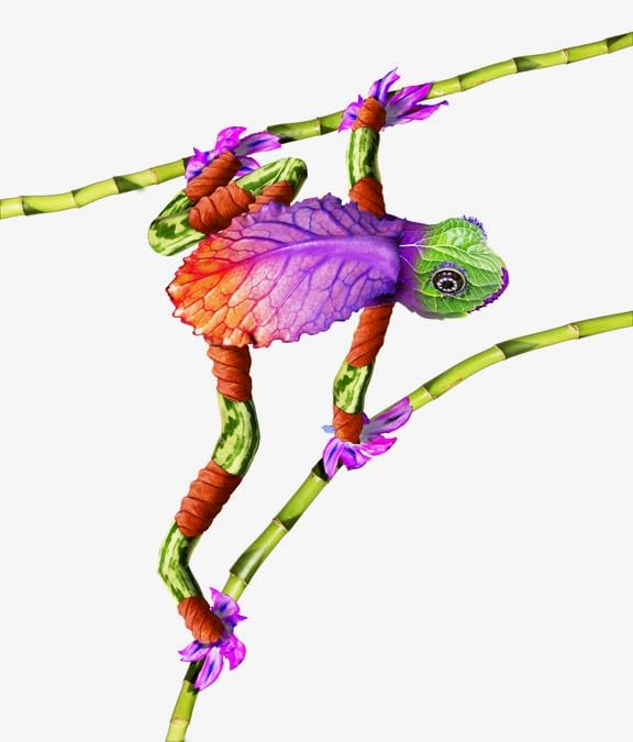 FROG #5 ON PAPER