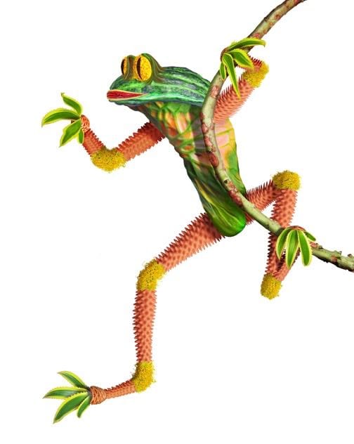 FROG #10 ON PAPER