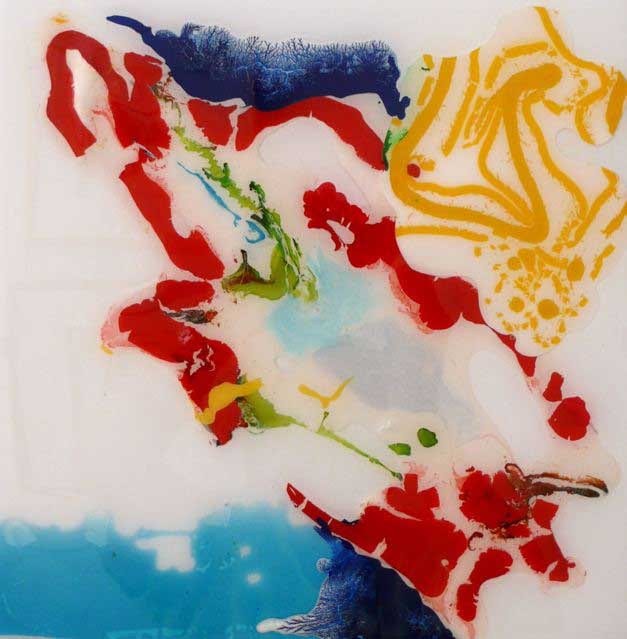 PRIMARY ASSEMBLAGE