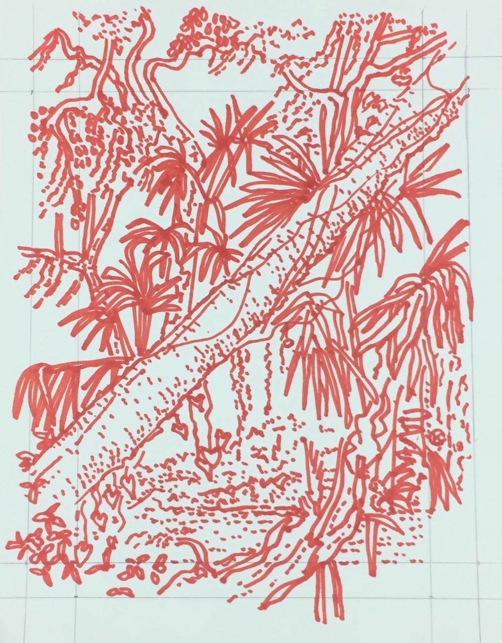 RED BANYAN