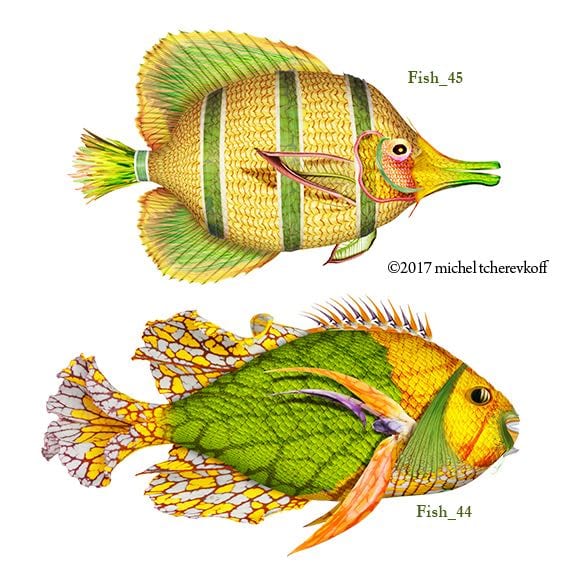 DOUBLE FISH