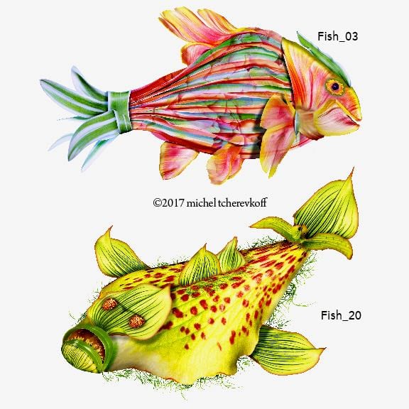 DOUBLE FISH