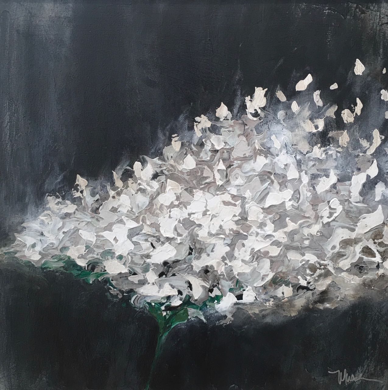 FLORESCENCE III
