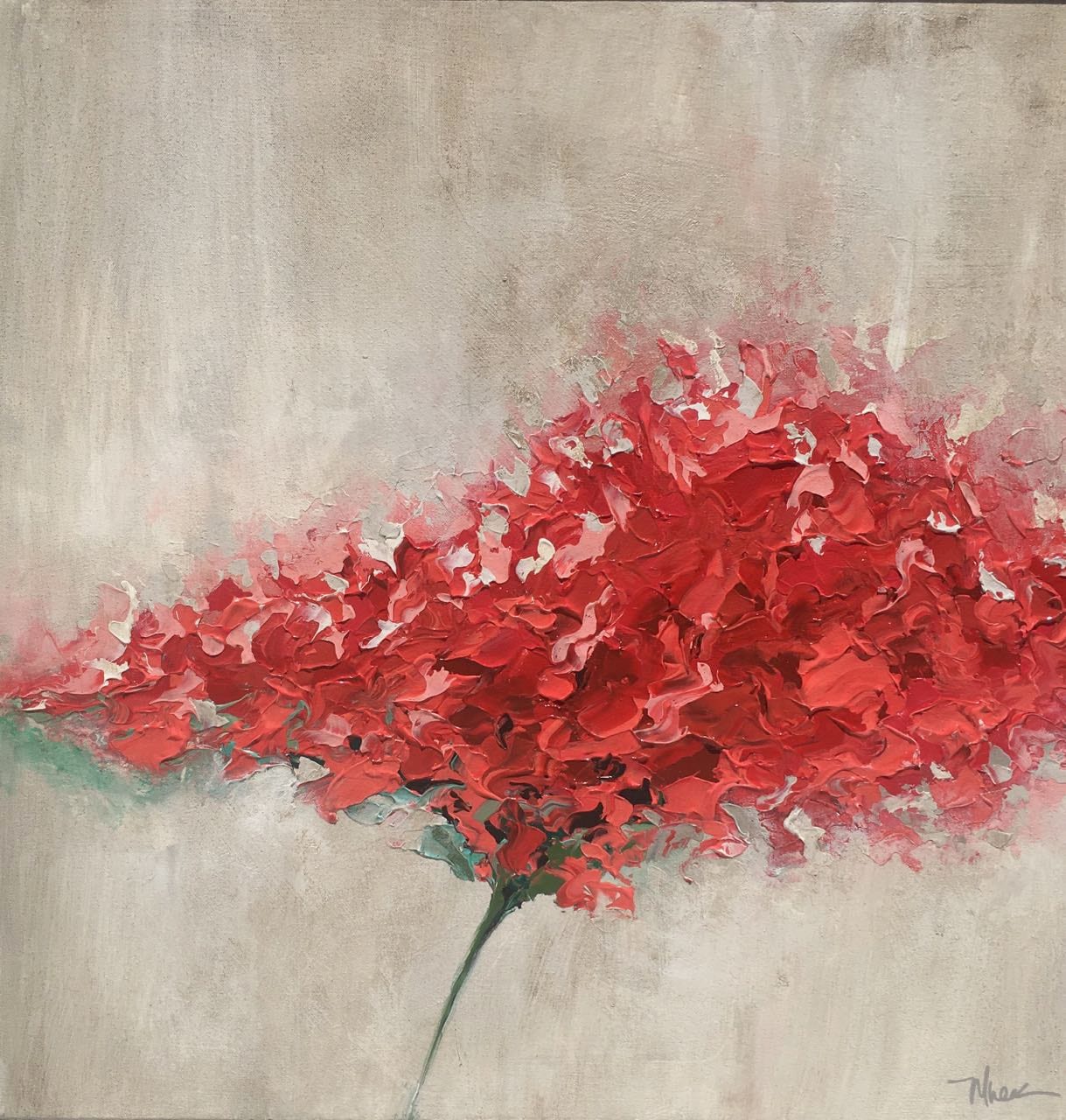 FLORESCENCE CORAL