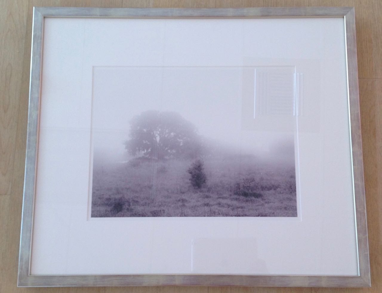 ARCADIAN MIST