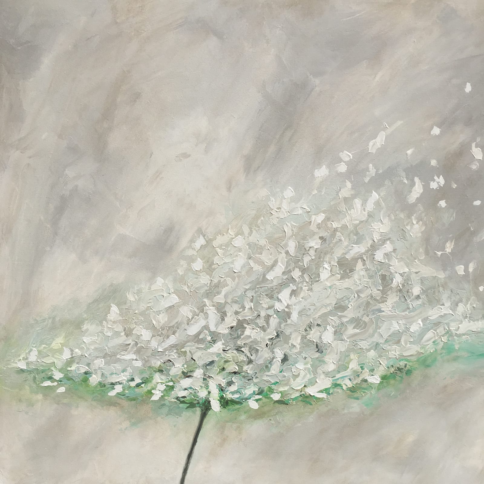FLORESCENCE WHITE