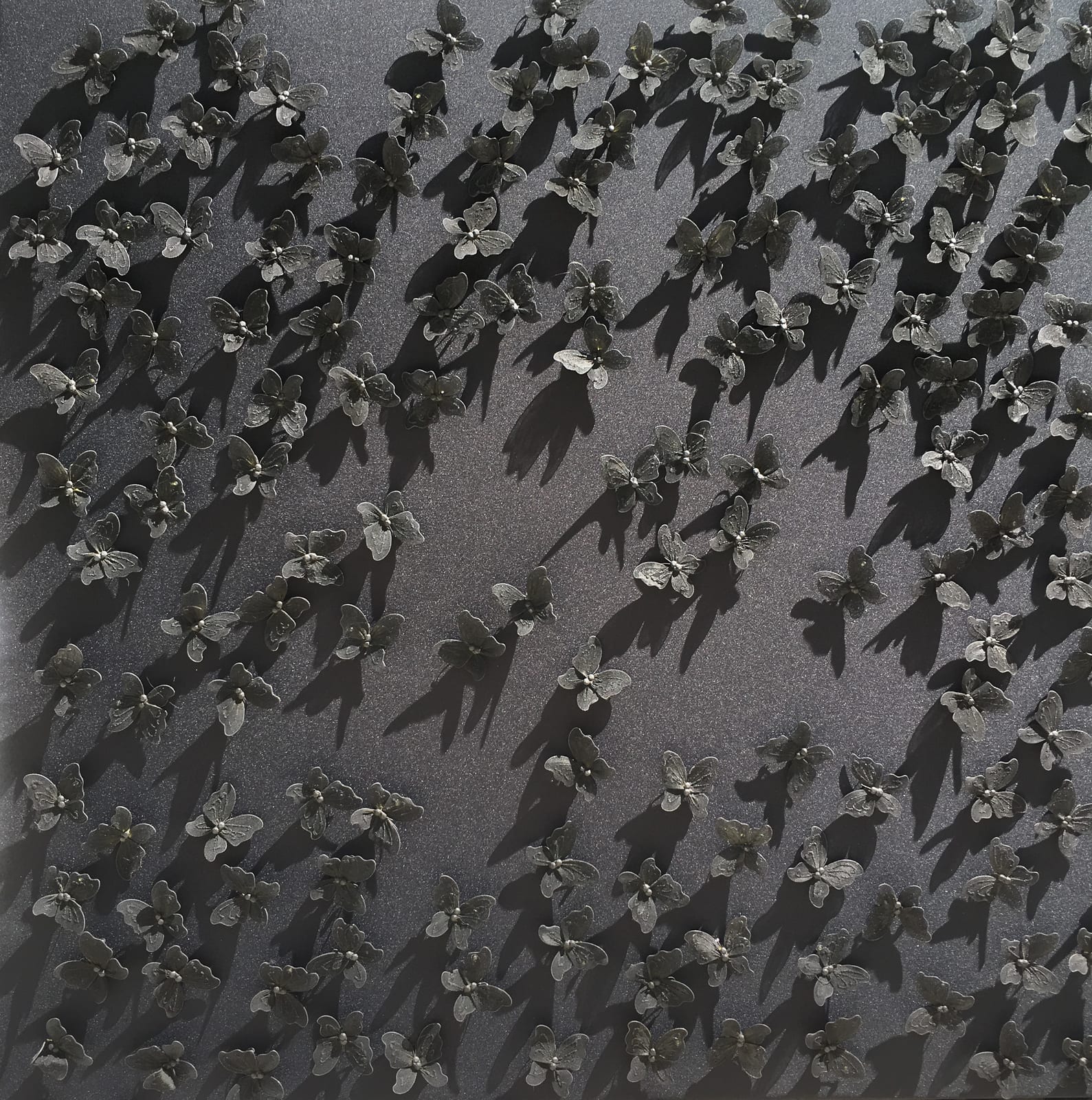 BLACK WATER BUTTERFLIES II