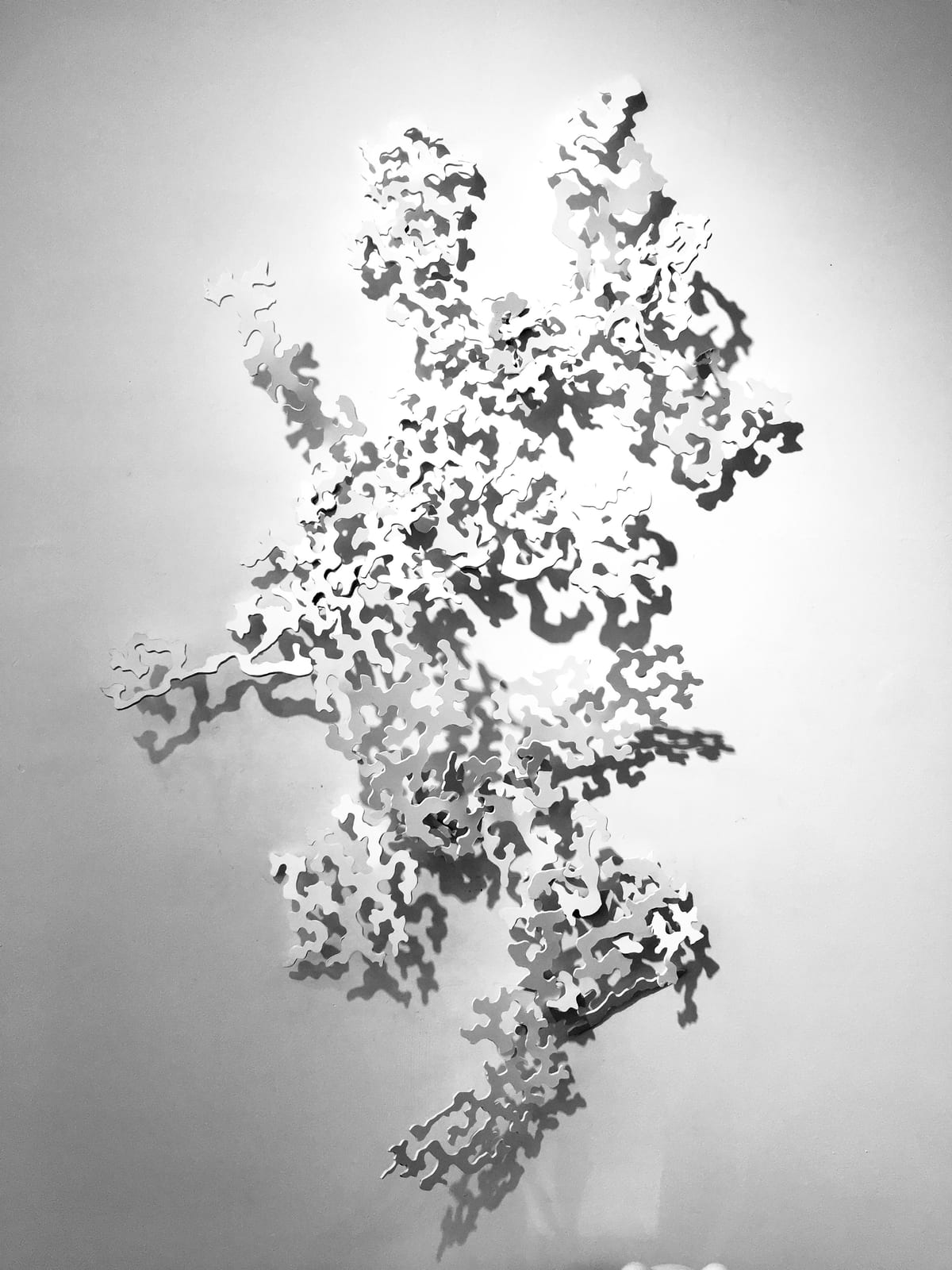 DAPPLED LIGHT #1