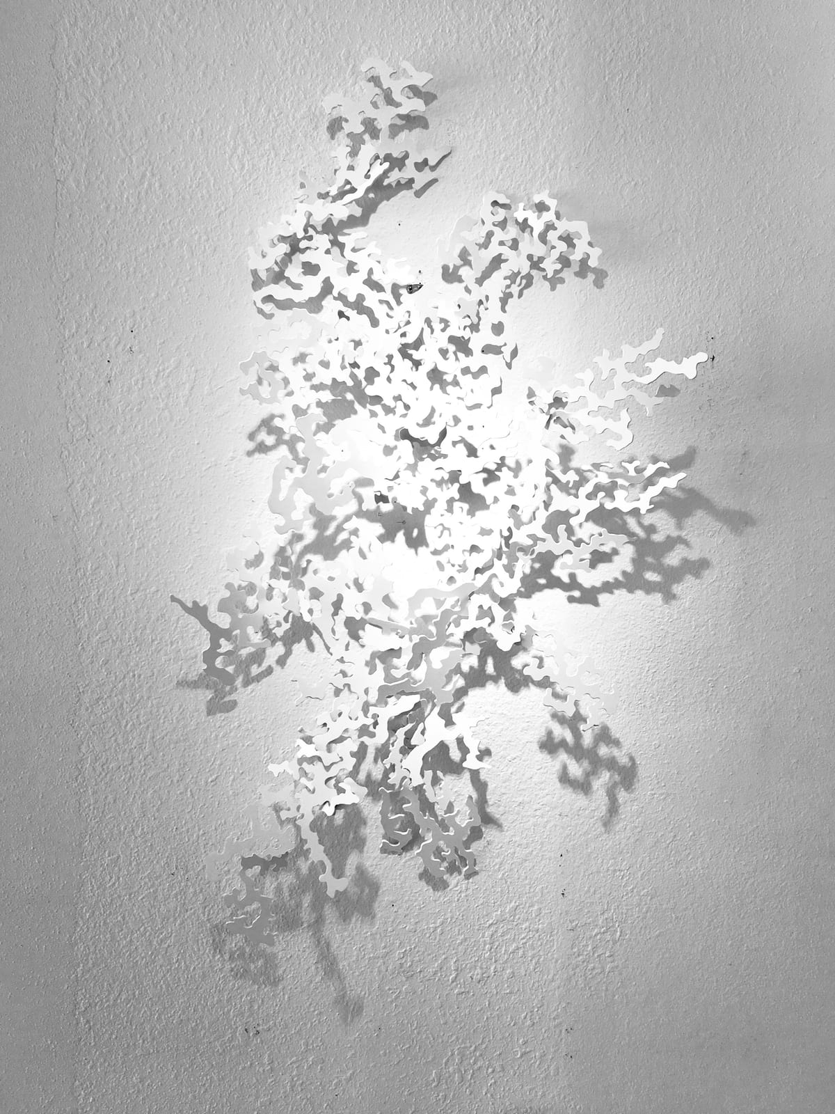 DAPPLED LIGHT #2
