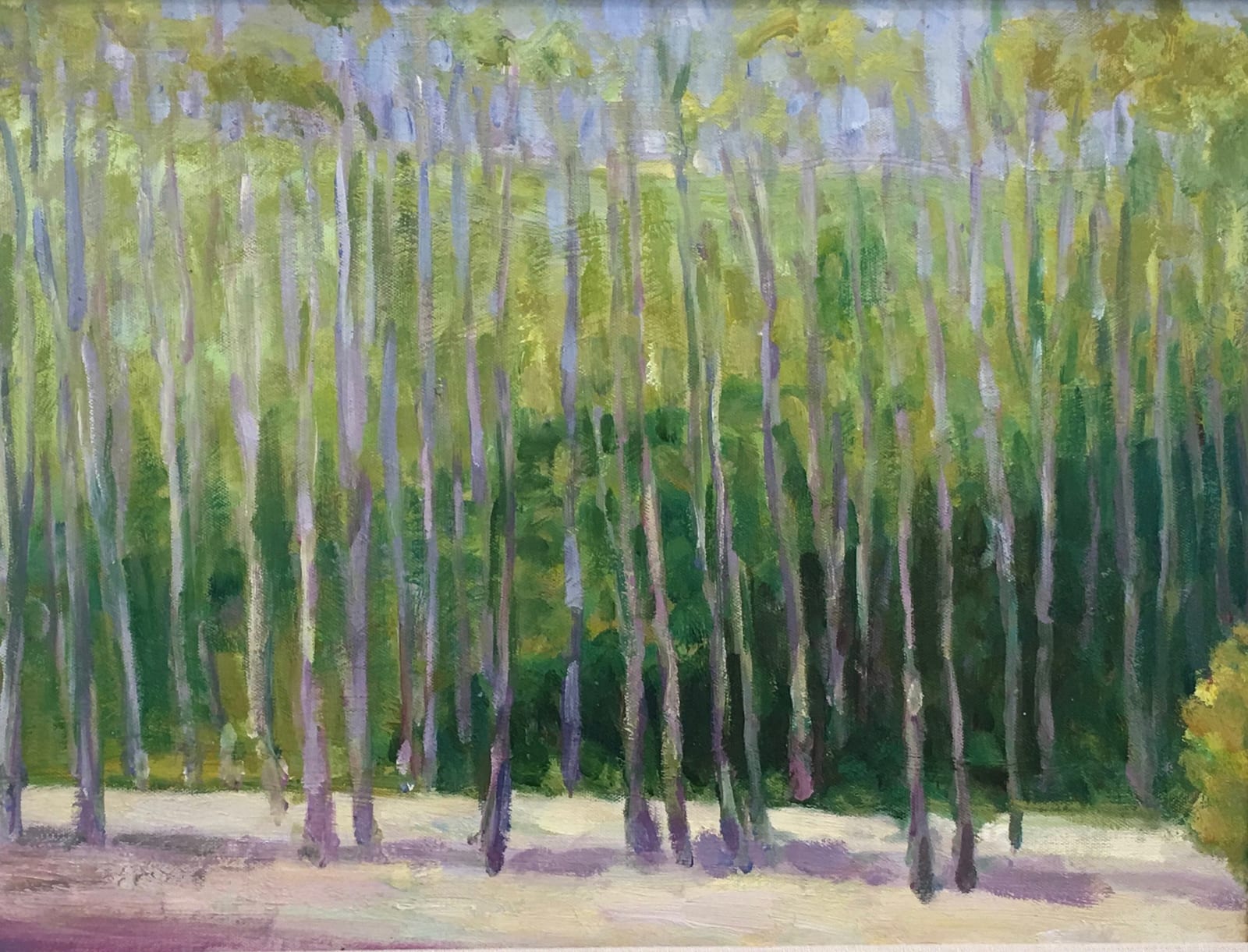 NC LANDSCAPE