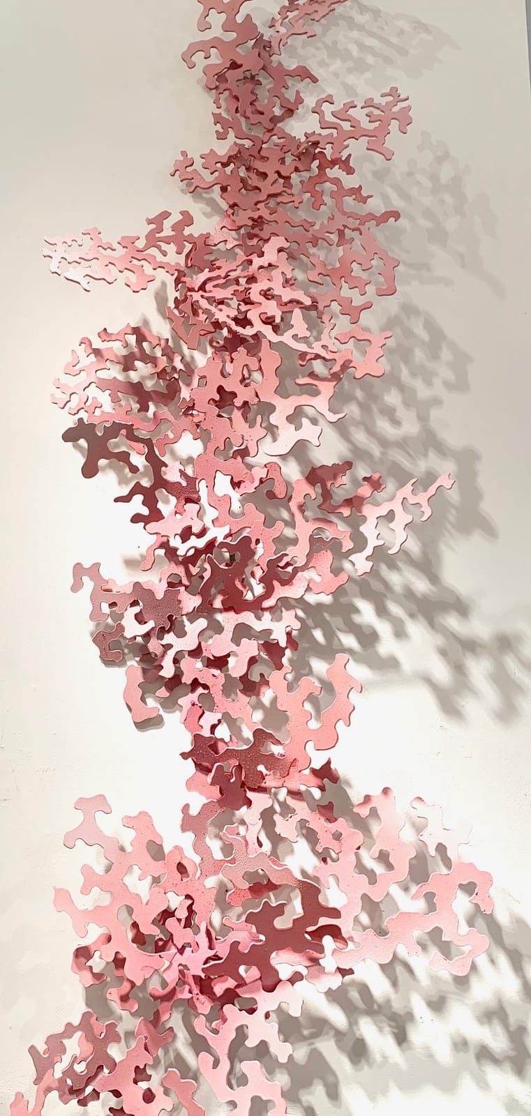 CORAL SCAPE