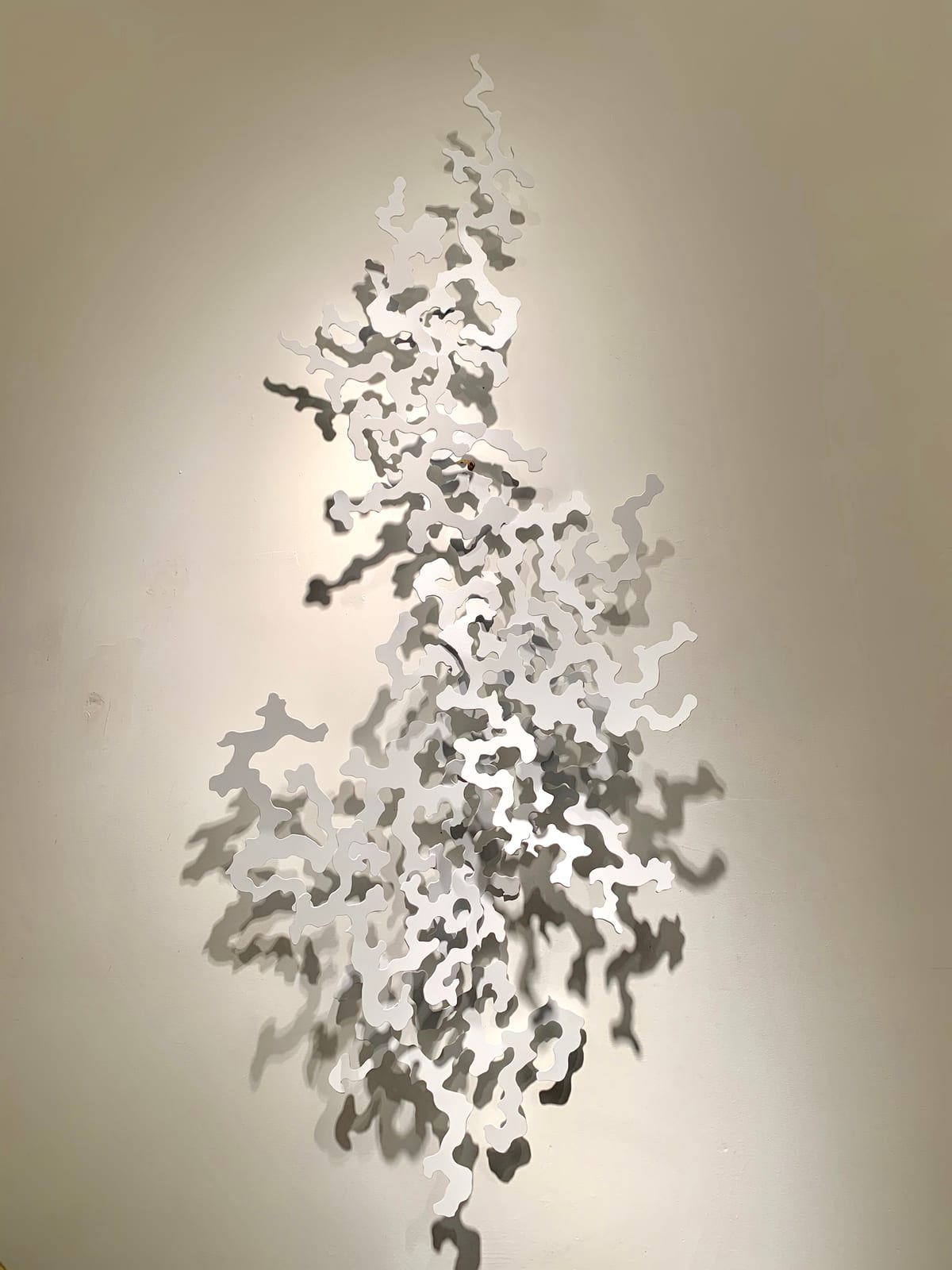 DAPPLED WHITE 3