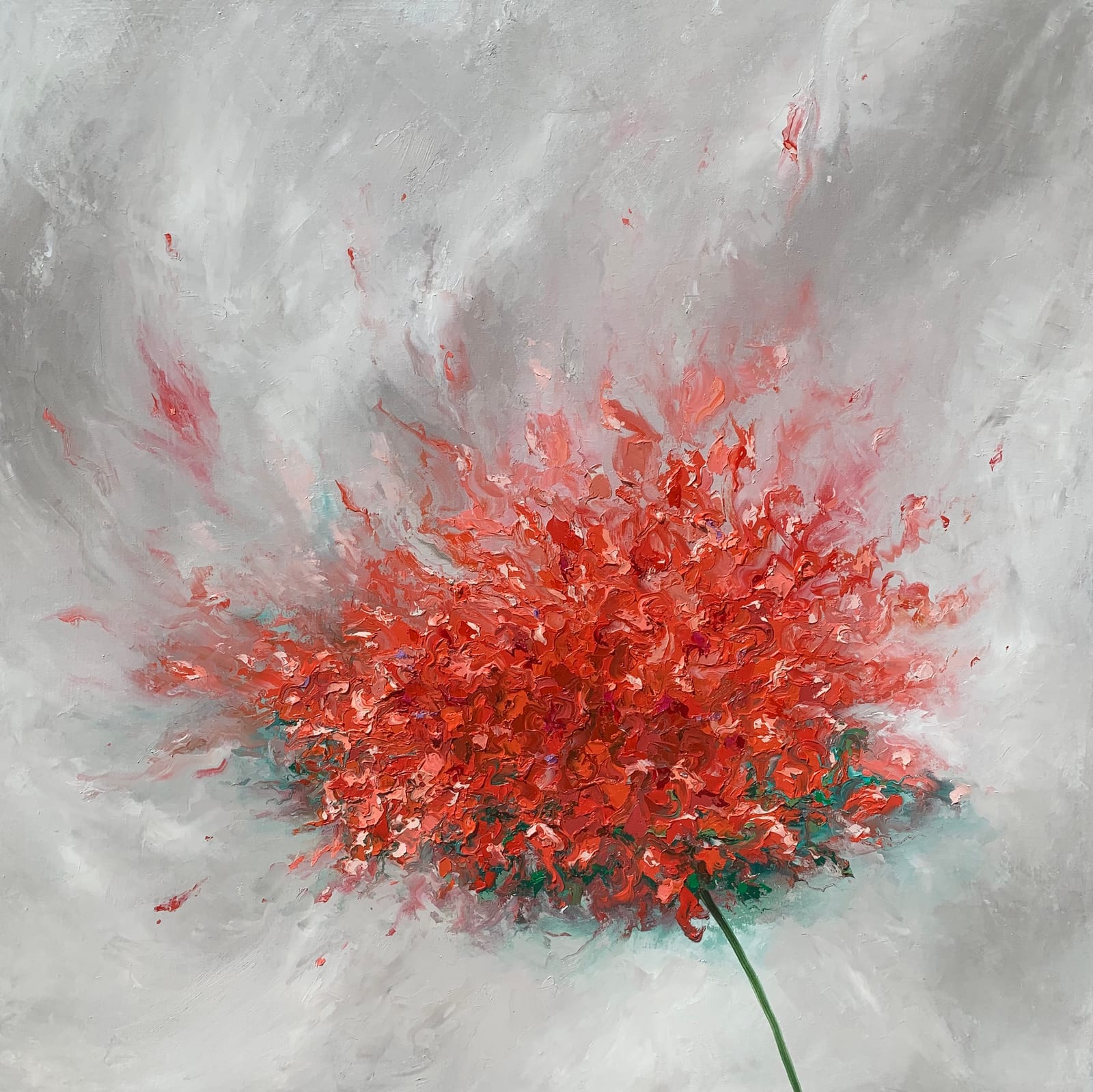 CORAL FLORESCENCE