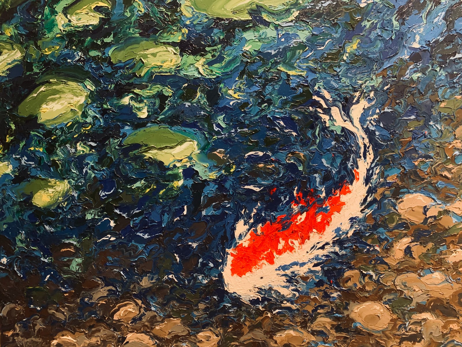 KOHAKU KOI