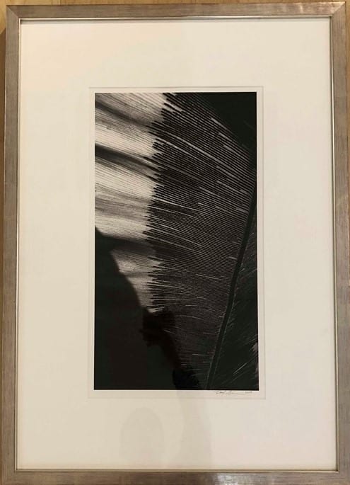 PALM SILHOUETTE - SMALL