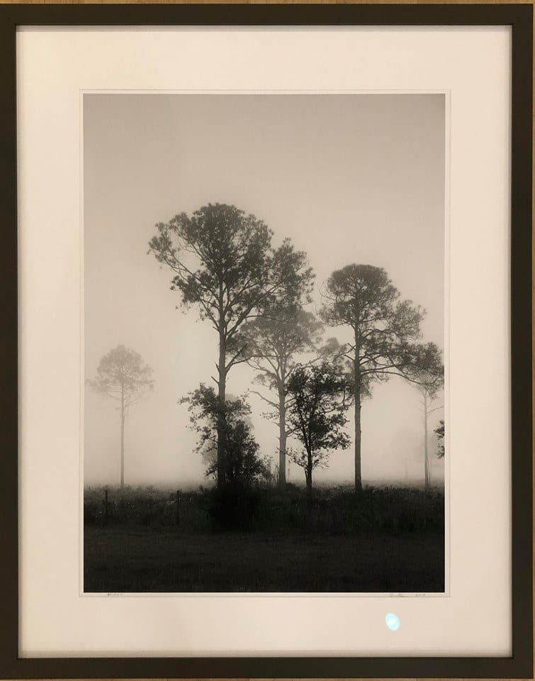 BEYOND THE FOG