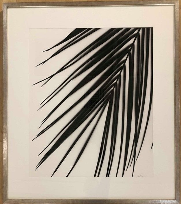 DOWNWARD FACING FROND