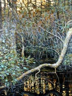SWAMP REFLECTIONS 2