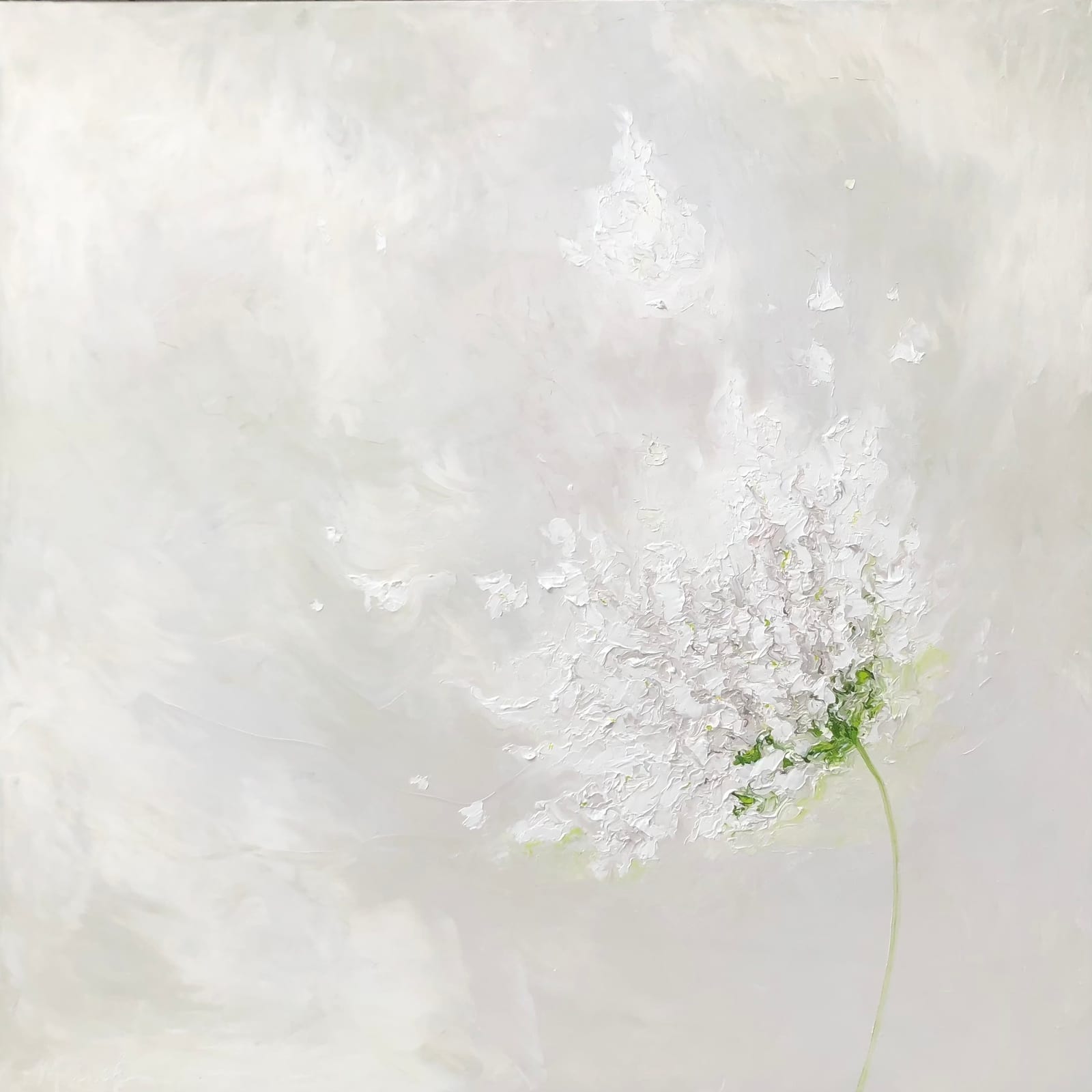 WHITE FLORESCENCE