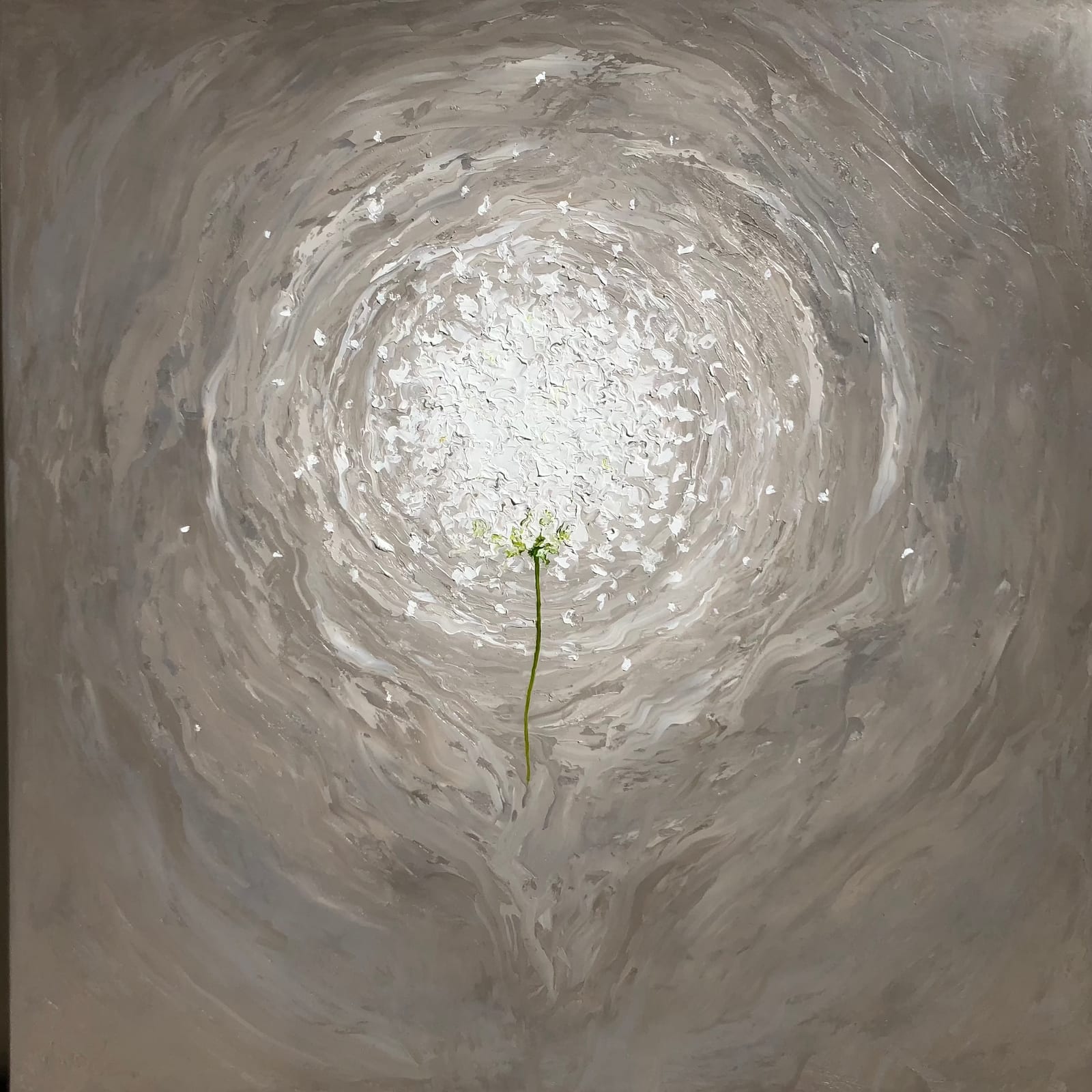 NUETRAL DANDELION 