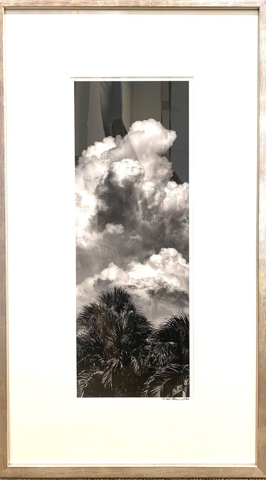 BEFORE THE STORM
