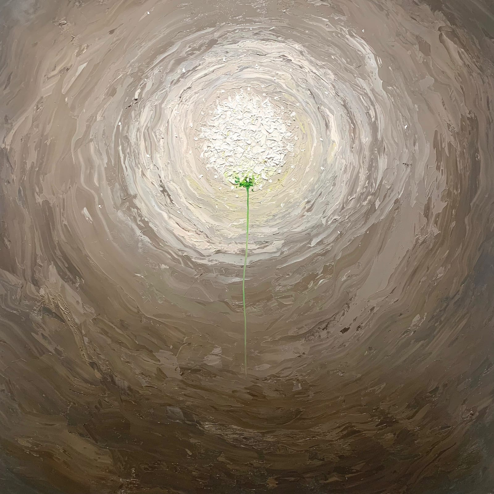  FLOWER OF OPTIMISM 2