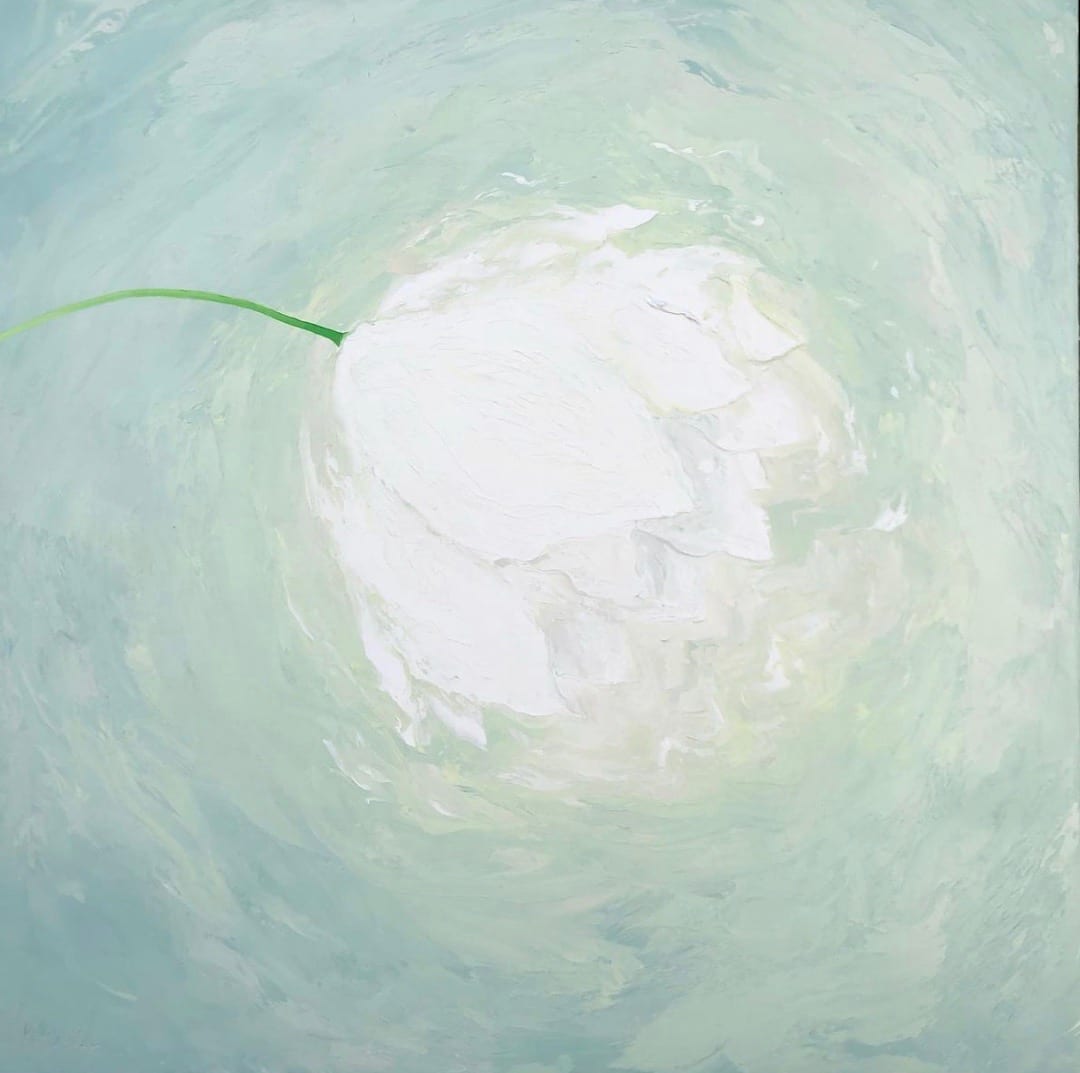 TULIP ENNUI