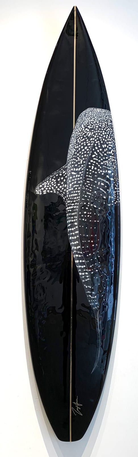 THE WHALE SHARK 