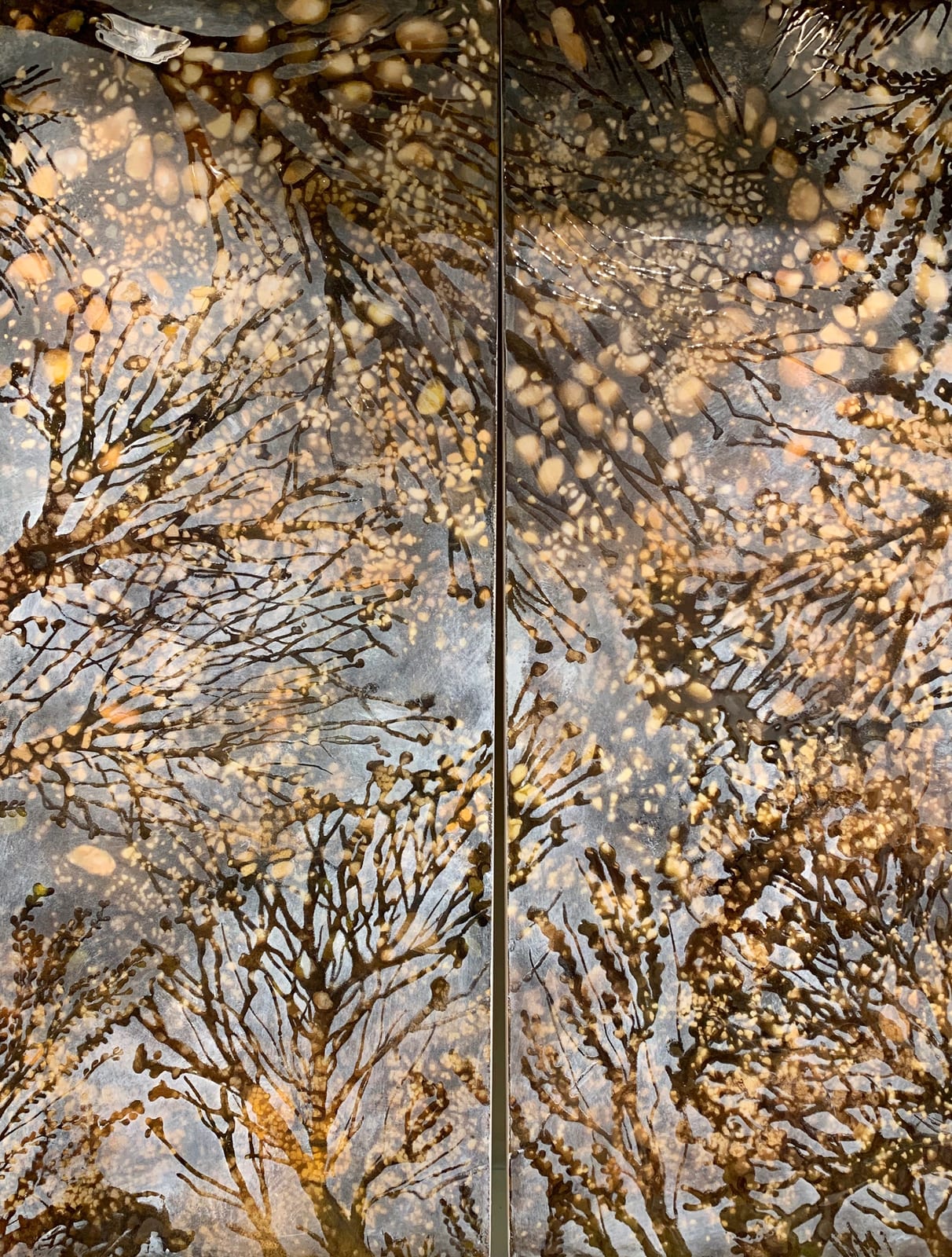 REFLECTIONS