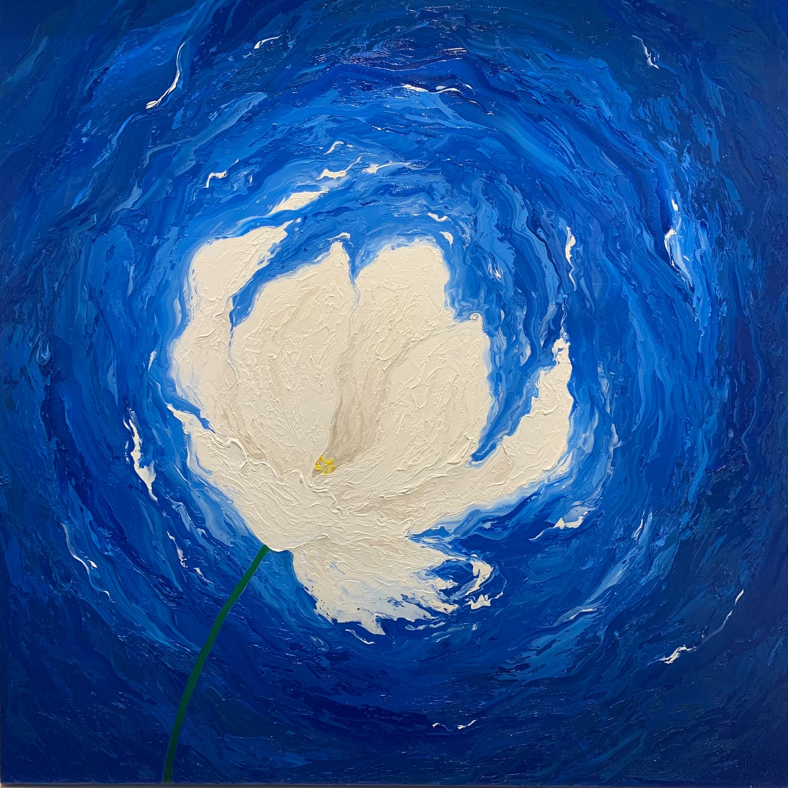 BLUE SUNDAY TULIP 