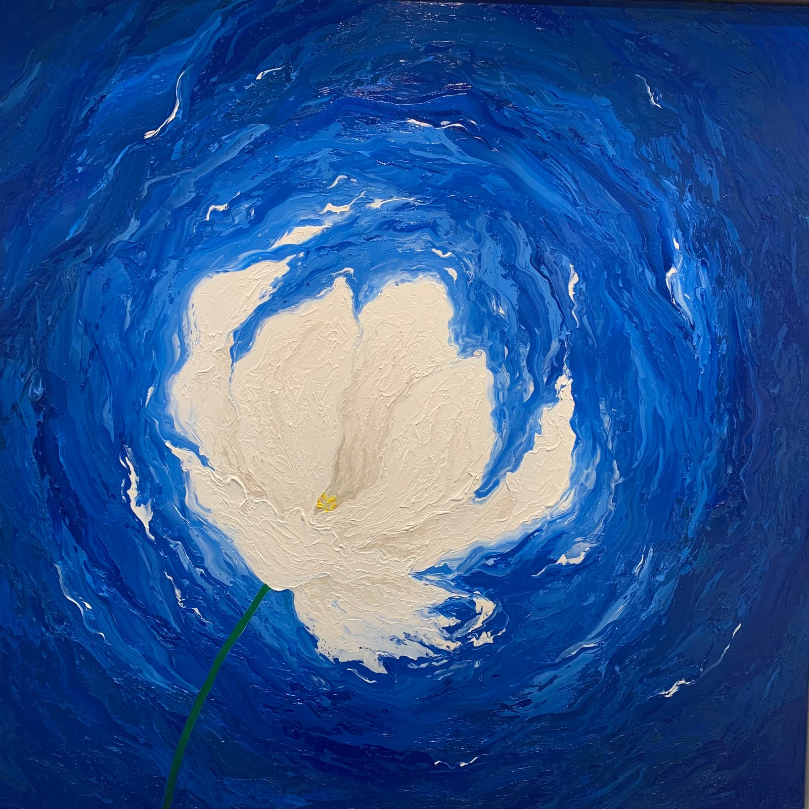 BLUE SUNDAY TULIP