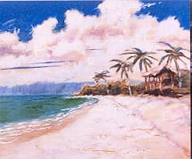 PALMS & HUT