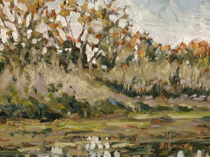 PHILLIPPI CREEK IN MAUVE